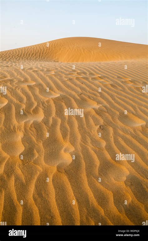 Sand Dunes Thar Desert Rajasthan India Stock Photo Alamy