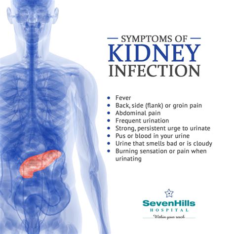 Kidney Infection Or Back Pain Kidrizi
