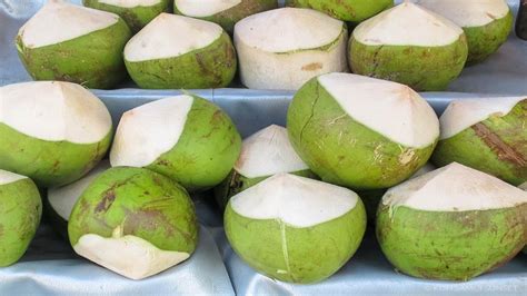 Thai Fruit Coconut Phuket Travel Guide