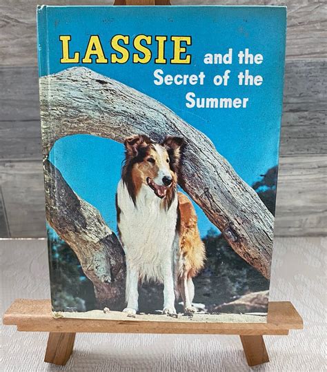 Lassie Lassie And The Secret Of The Summer Lassie Book Etsy