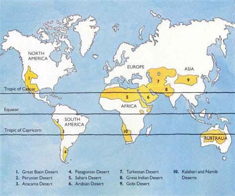 Top 16 Grassland Facts Animals Plants Climate Biome