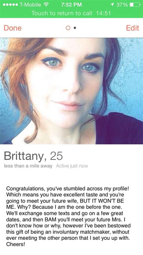 23 hilarious bios you would only ever find on tinder funny dating memes tinder profile funny
