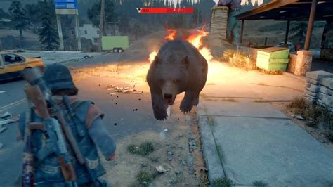 Days Gone Survival Mode Bear Fight Throwableexplosive Only Youtube