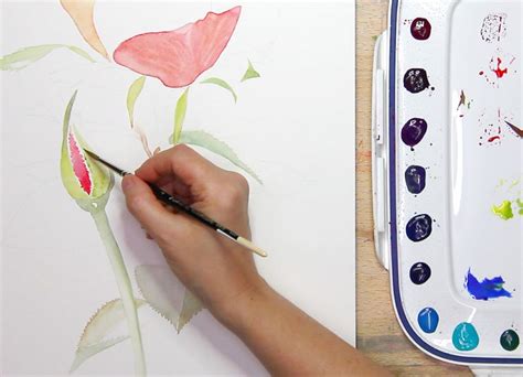 Watercolour Botanical Painting With Susanne Absolon Jacksons Art Blog