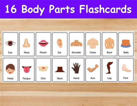 16 Body Parts Flashcards Image Cards For Kids Preschoolers