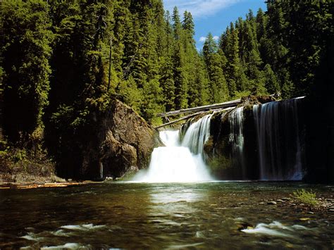 Check spelling or type a new query. Gifford Pinchot National Forest - USA - World for Travel