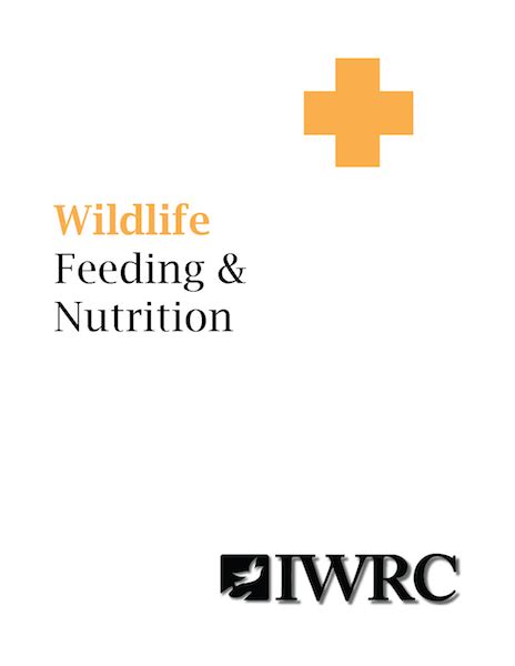 Wildlife Feeding And Nutrition International Wildlife Rehabilitation