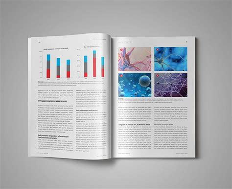 Academic Journal Template For Indesign Stockindesign