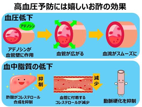 今回はそんな 酢の種類や効果効能をご紹介しま 免疫力をupさせてガン予防 主に玄米が原料。 アミノ酸が豊富でうま味が強く、香りも深くて独特。 ラットを使った実験では、黒酢のエキスが. 知って得するお酢の効果!高血圧予防に最適なお酢の力を大 ...