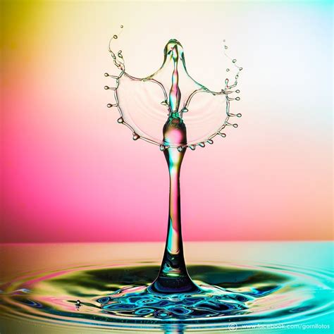 Water Droplet Photography Guide Tips
