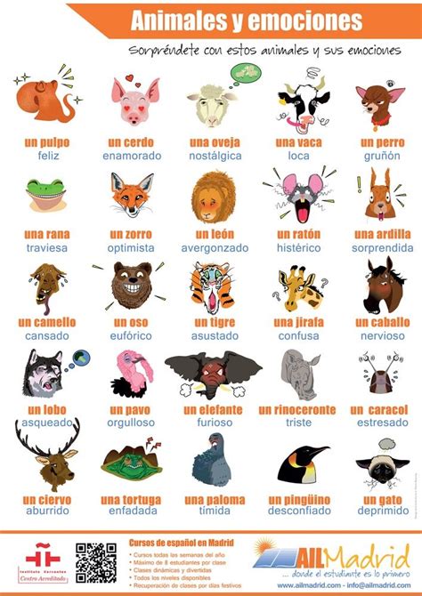 Enfócate en aprender los adjetivos más usados. Las emociones | Vocabulario español, Español, Animales