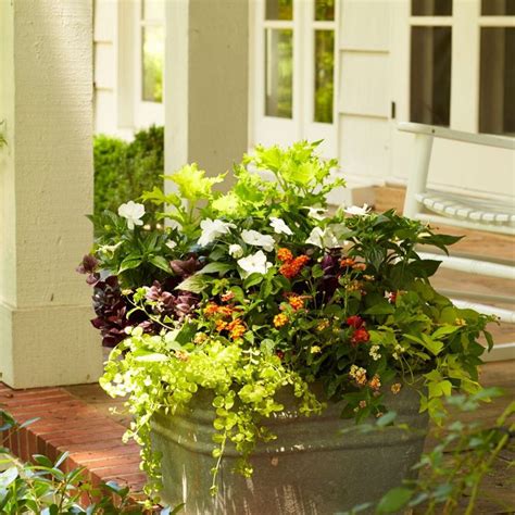 35 Front Door Container Garden Ideas For An Eye Catching Entryway