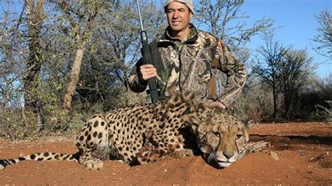 Killing Animals As Trophy Shocking Facts About Trophy Hunting India