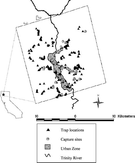 Map Of Trap Locations And Gray Fox Urocyon Cinereoargenteus Captures