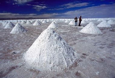 Al igual que el alimento anterior, este col aporta 451 mg de potasio por cada 100 gramos y son alimentos que encuentran su mejor época de consumo por estos meses del año. Materia Medica Homeopatica: LITHIUM CARBONICUM (Carbonato ...