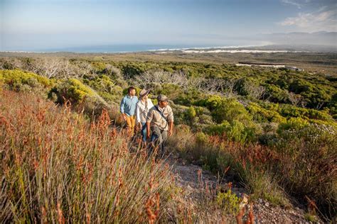 Guided Fynbos Walks And Hikes Grootbos Gansbaai