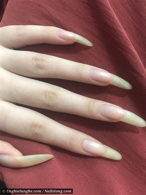 Pin by Stefanny Astorga on Uñas largas Long natural nails Real long