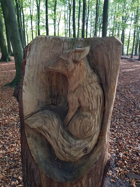 I Found This In A Forest Close To My Home Its A Fox Carved Inside A Tree Stump Tree Carving