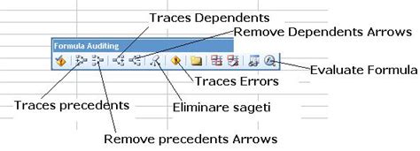 Utilizarea formulelor