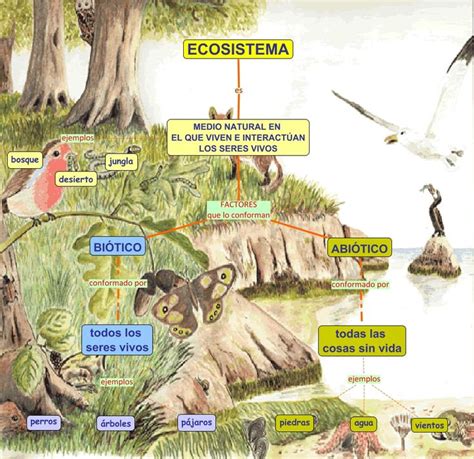 Ecosistema Biotopo Más Biocenosis Factores Bioticos Y Abioticos