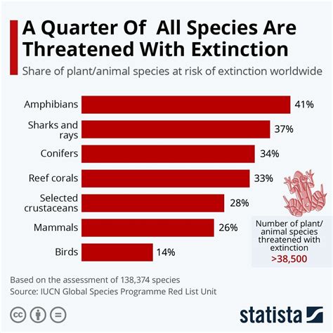 Biodiversity Which Species Are Most At Risk Of Extinction World