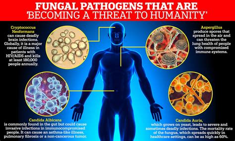 Who Releases List Of Health Threatening Fungi Gist