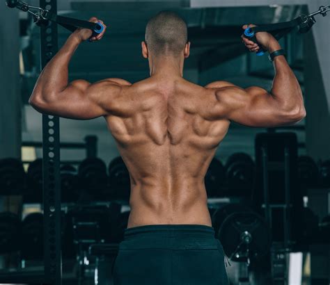 Bodybuilding Back Exercises Hot Sex Picture