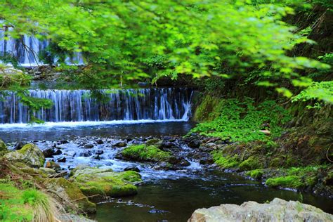 貴船川 新緑 美しい自然と風情ある川床 京都もよう kyoto moyou