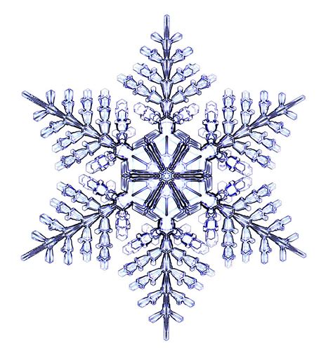 Snowflake Snow Crystal Snowflakes Snowflake Pictures