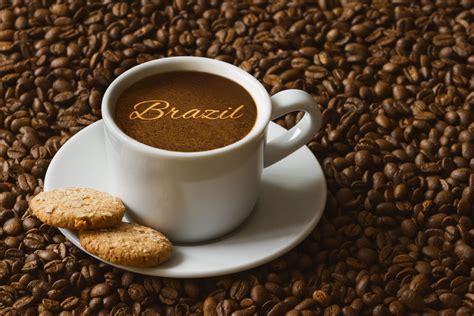 Brazilian Coffee Your Essential Guide