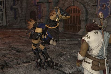 Ffxiv Chocobo Barding Guide Late To The Party Finder