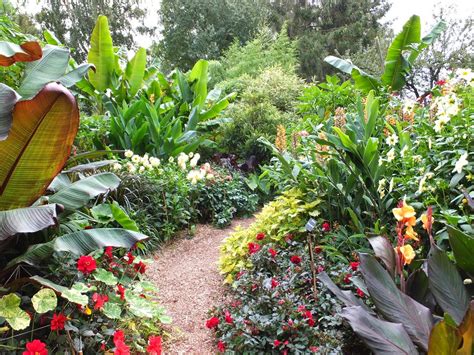 Alternative Eden Exotic Garden The Wonderful Urban Jungle