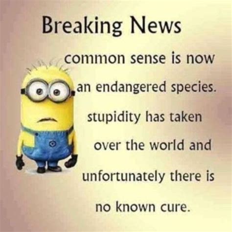 Sydesjokes On Instagram “breaking News Minions” Funny Quotes Funny Minion Memes Funny