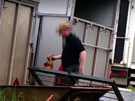 Senior Huntsman And Partner Convicted Of Fox Cub Cruelty Charges