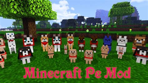 Mod Doggos En Abundancia Para Minecraft Pe Youtube