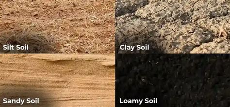 Types Of Soil Sandy Soil Clay Soil Slit Soil And Loamy Soil