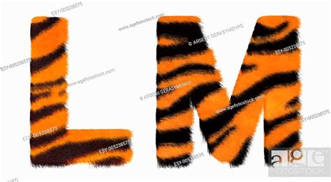 Tiger Fell L And M Letters Isolated Stock Photo Picture And Low