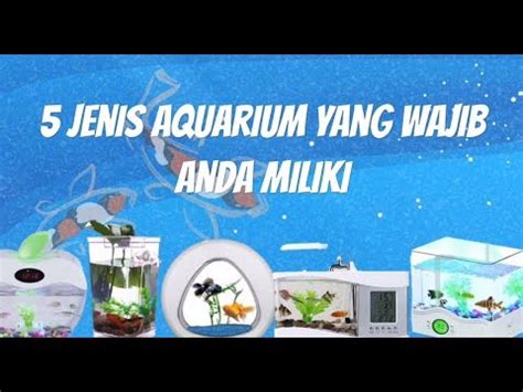 Unik aquarium tabung mini ikan cupang kecil terbaru murah berkualitas. Mini Aquarium Unik, Anda Harus Miliki di Rumah / Kantor ...
