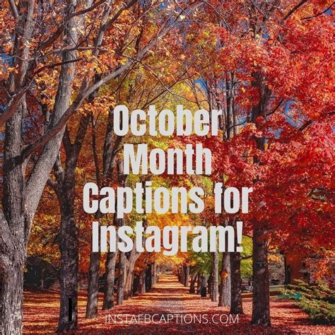 Popular October Fall Captions Quotes For Instagram In 2023