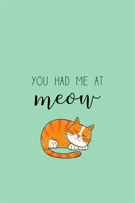 15 Short Cat Quotes Cute And Funny For Cat Lovers Cat Quotes Funny