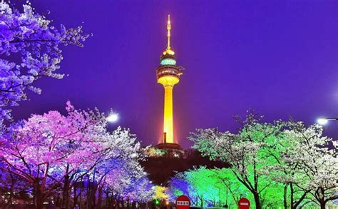 Questa guest house si trova nei pressi dei seguenti luoghi d'interesse: Myeong-dong: Cherry Blossoms at N Seoul Tower (Namsan Park ...