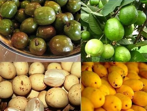 Exotic Fruits From The Philippines