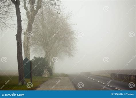 A Country Road On A Foggy Day At France Stock Photo Image Of Meadow