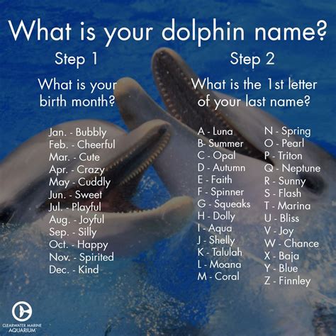 Find Out Your Dolphin Name Dolphin Quotes Dolphin Tale Clearwater