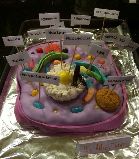 We did not find results for: 17 Best images about plant cell cake project on Pinterest ...