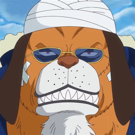 One piece kaido flying 6 ancient zoans were revealed but the most interesting one was who who who is this man are you. Inuarashi (One Piece)