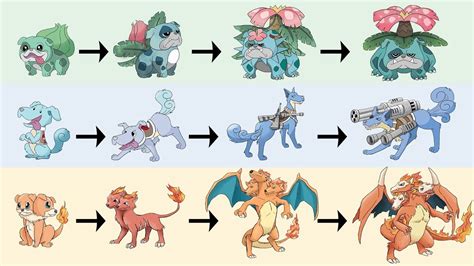 We are not affiliated with the pokémon company, nintendo, or niantic. All Gen 1 Starter Evolutions as Dogs | Pokemon Gen 8 ...