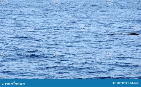 Deep Blue Atlantic Ocean Stock Photo Image Of Atlantic 151374574