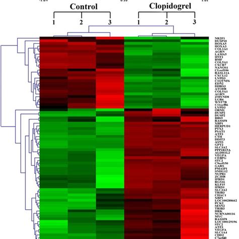 Microarray Analysis For The Differentially Expressed Genes Involved In Download Table