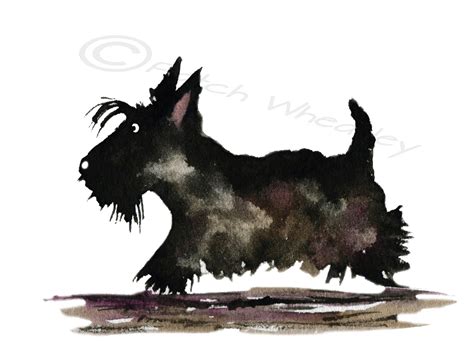 Scottie Dog Art Print Scottish Terrier 57 By Archyscottie On Etsy